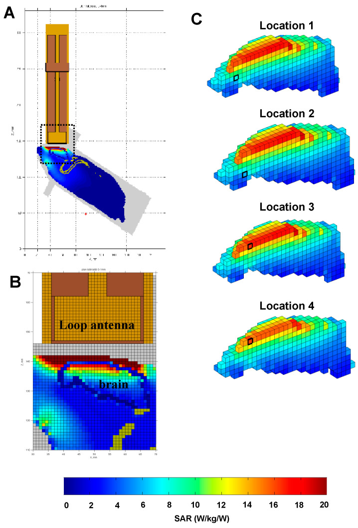 Figure 10