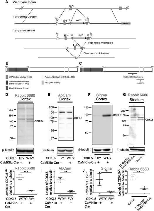 Fig 1: