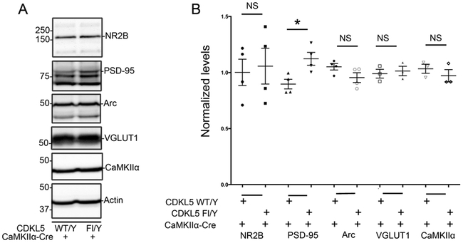 Fig 6: