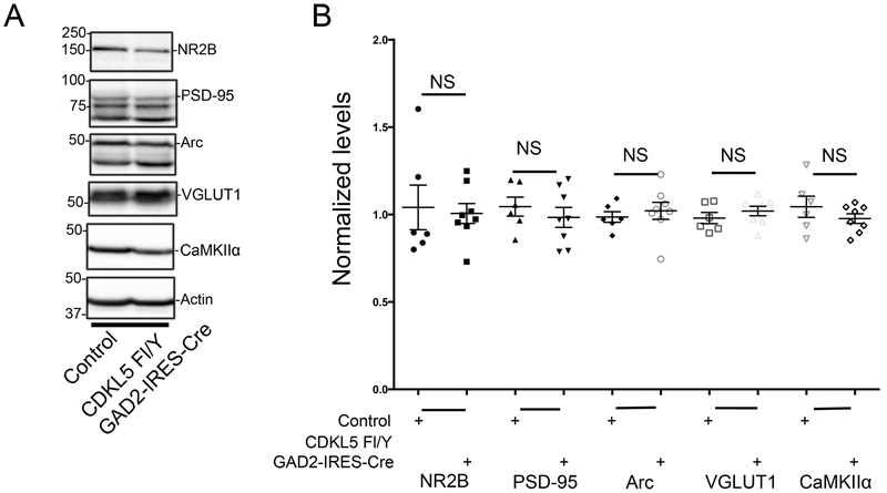 Fig 7: