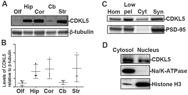 Fig 2: