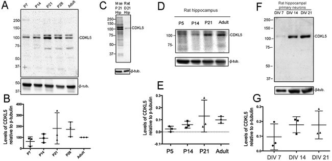 Fig 3: