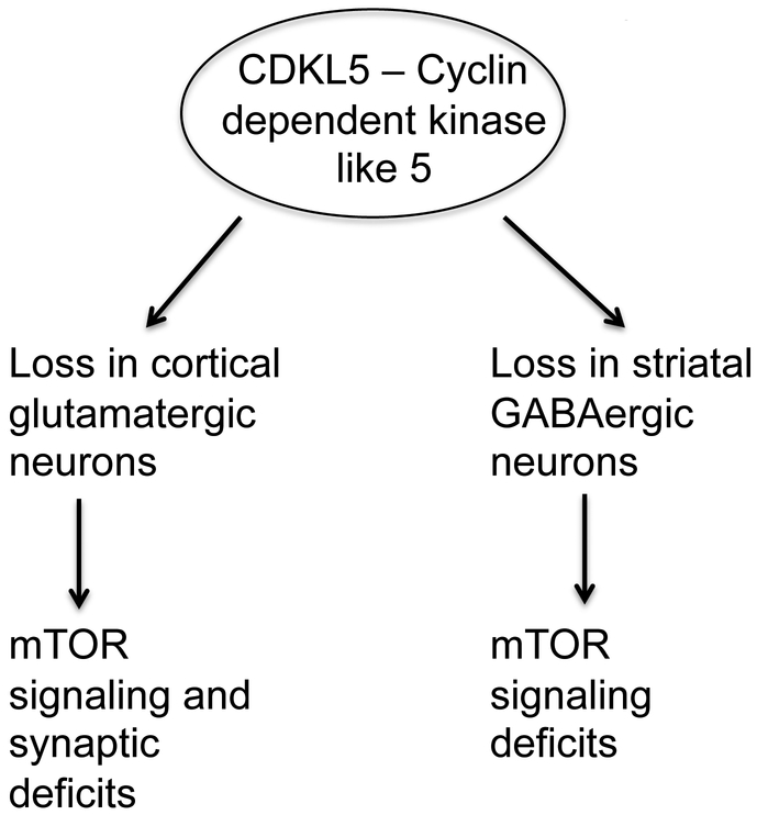 Fig 8: