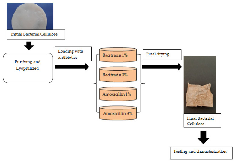 Figure 13