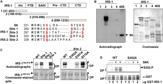 Figure 5.