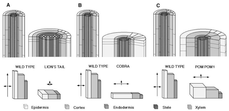 Fig. 9