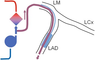 Fig. 2