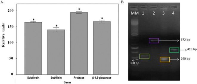 Fig. 4