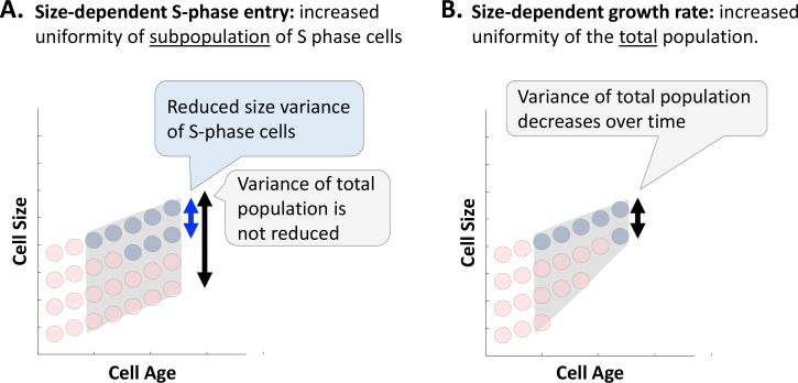 Figure 4—figure supplement 1.