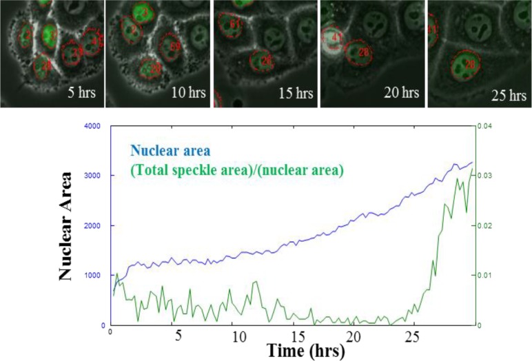 Figure 2—figure supplement 3.