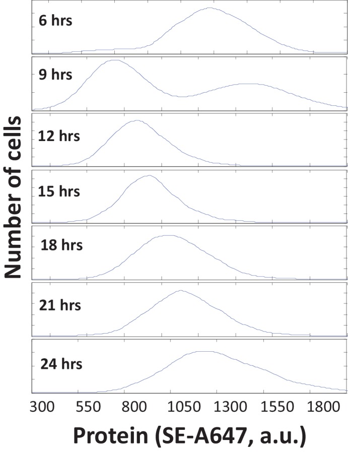 Figure 1—figure supplement 1.