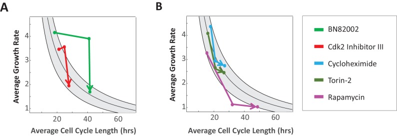 Figure 7—figure supplement 1.