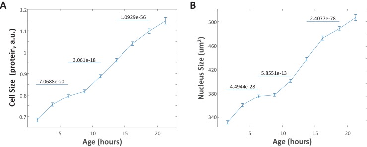 Figure 2—figure supplement 2.