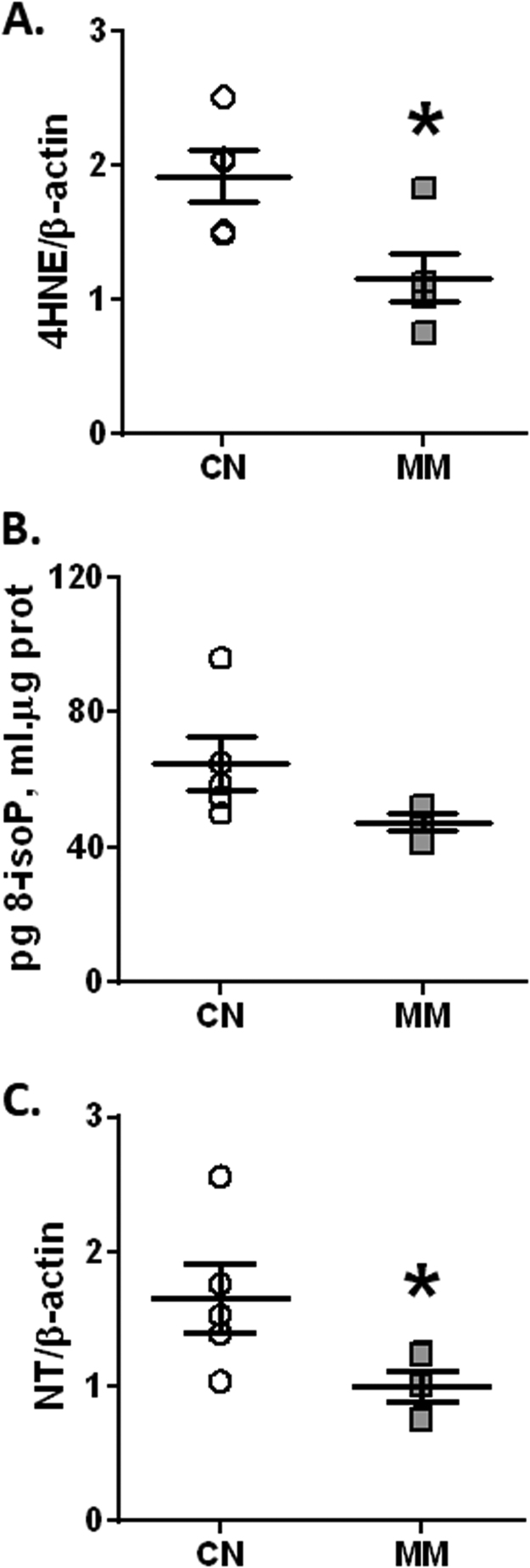 Fig. 5