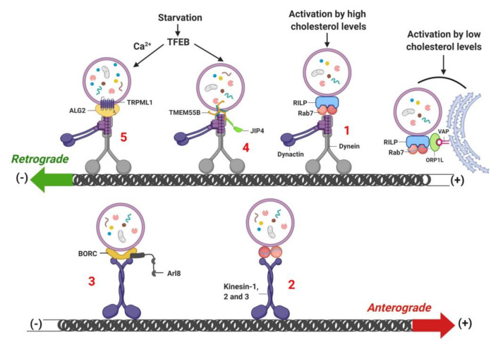 Figure 6