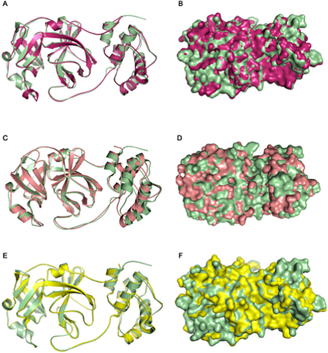 Fig. 7