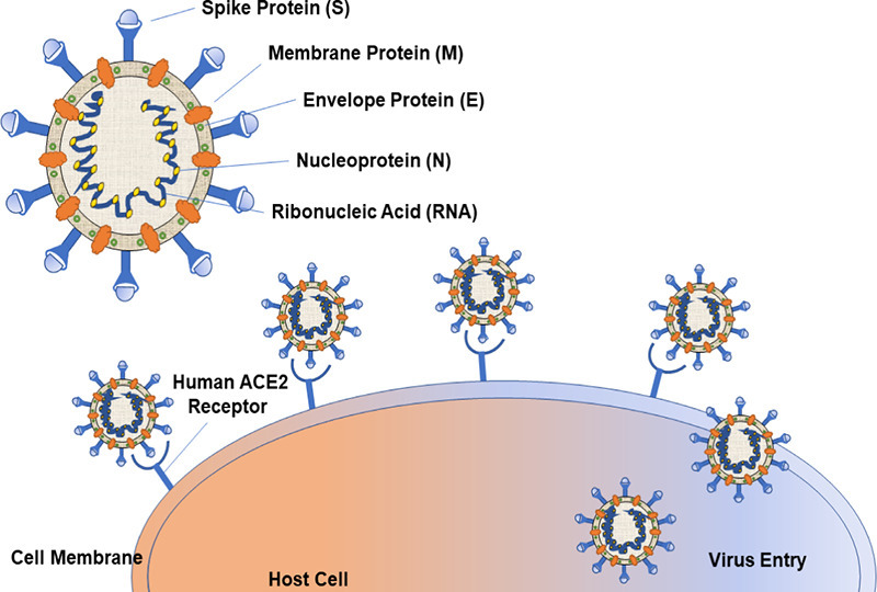 Unlabelled Image