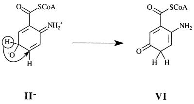 Scheme 4