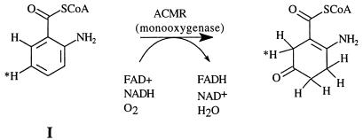 Scheme 3