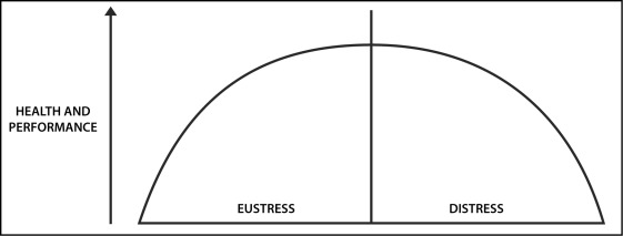 Figure 1 :