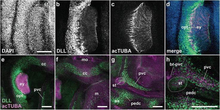 Fig. 9