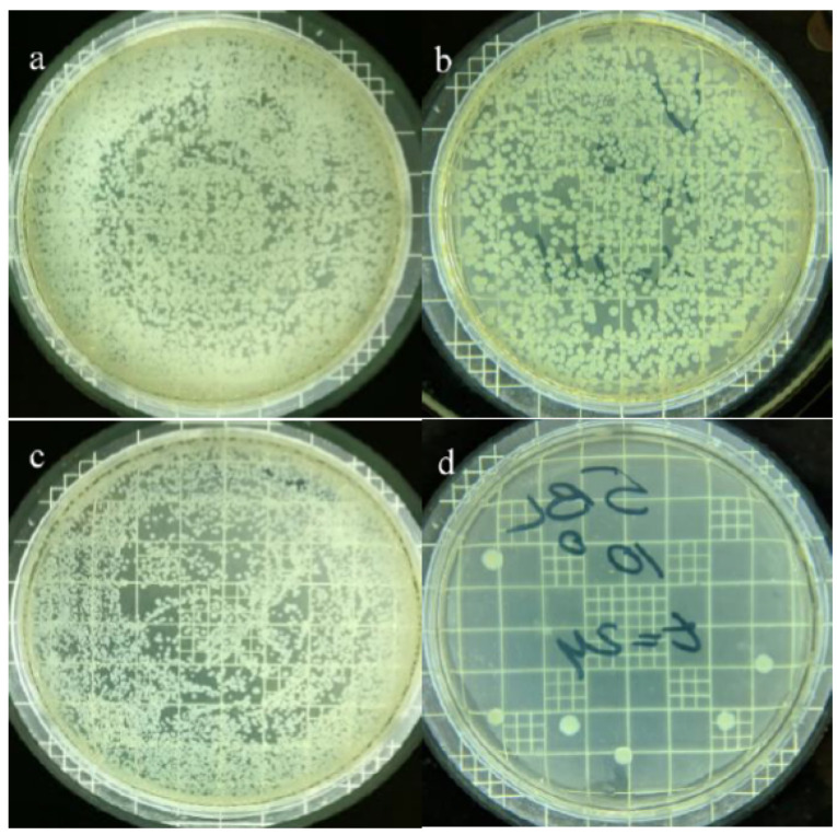 Figure 11