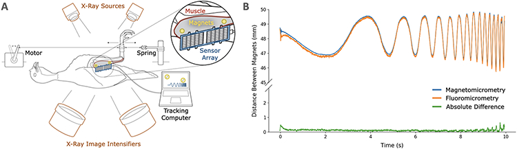 Figure 2: