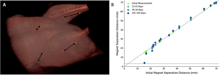 Figure 5: