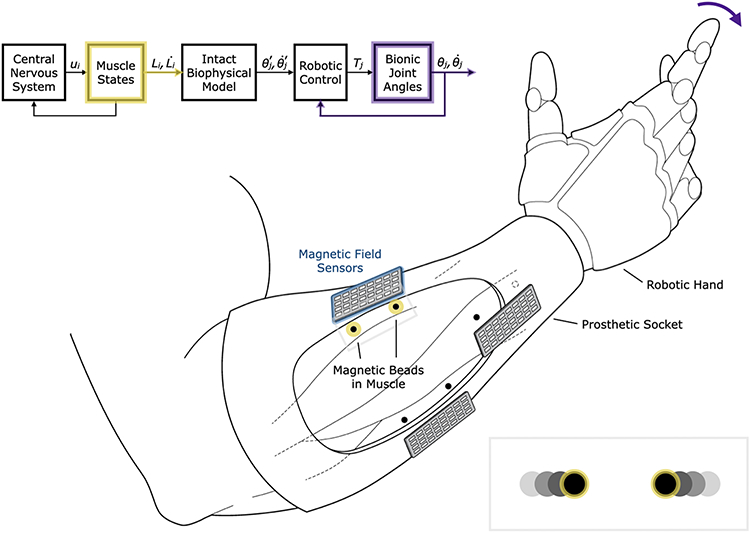 Figure 1: