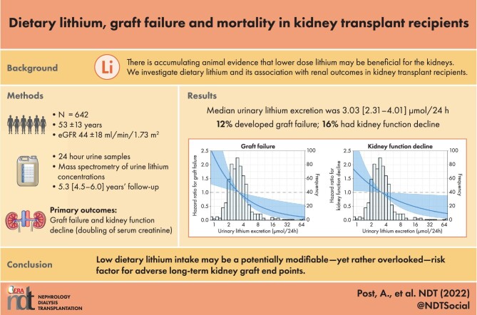 Graphical Abstract