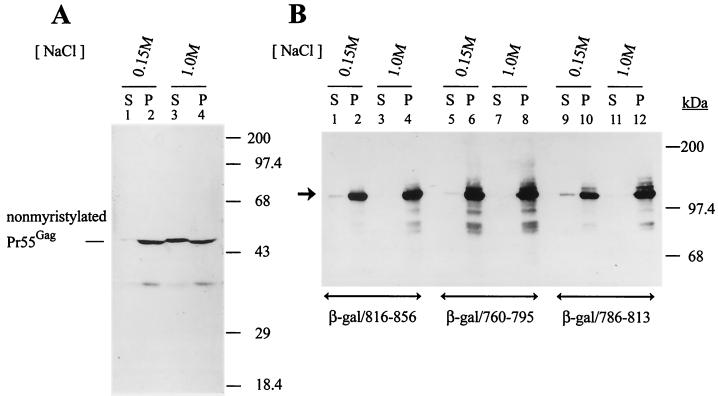 FIG. 5