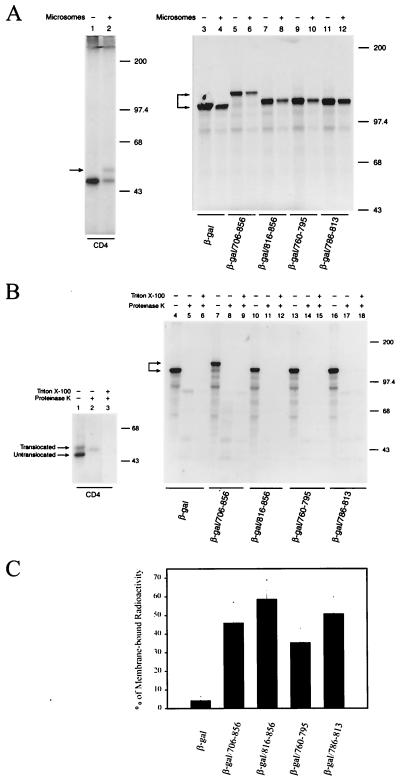 FIG. 6