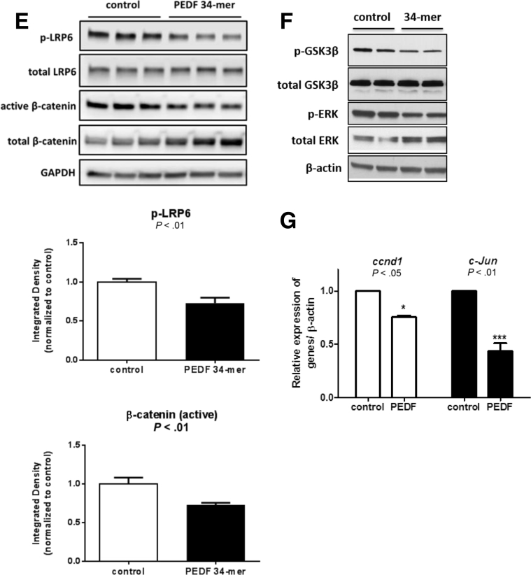 Figure 5