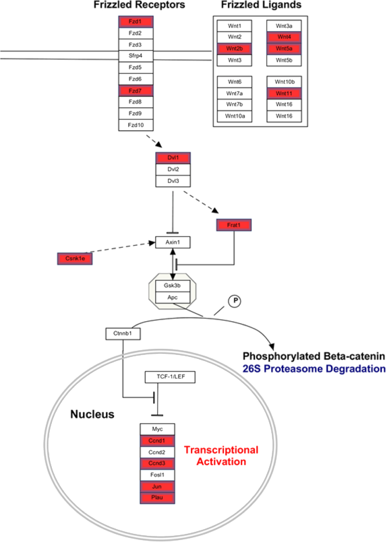 Figure 2