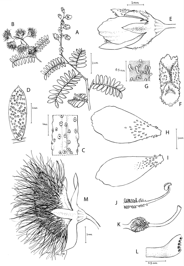 Figure 35.