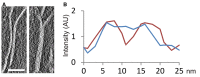 Figure EV4