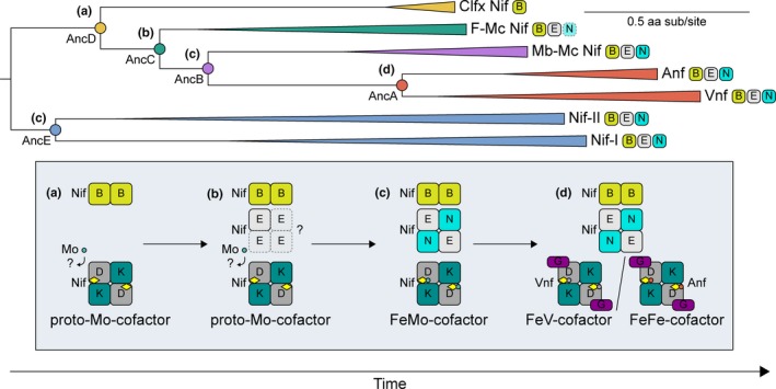 Figure 7