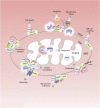 Fig. 2.