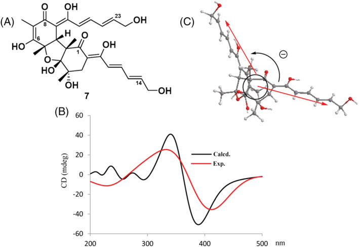 FIGURE 6