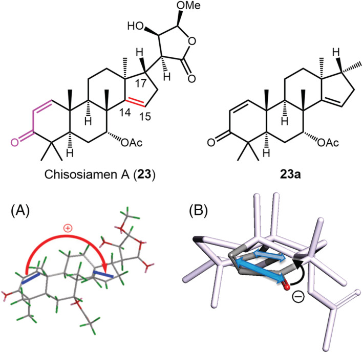 FIGURE 13