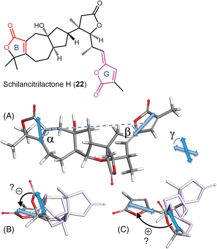 FIGURE 12