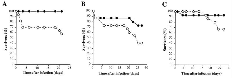 FIG. 6