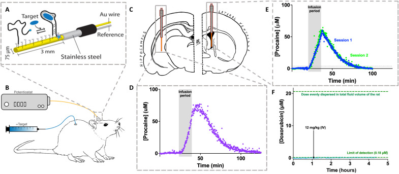 Fig. 1.