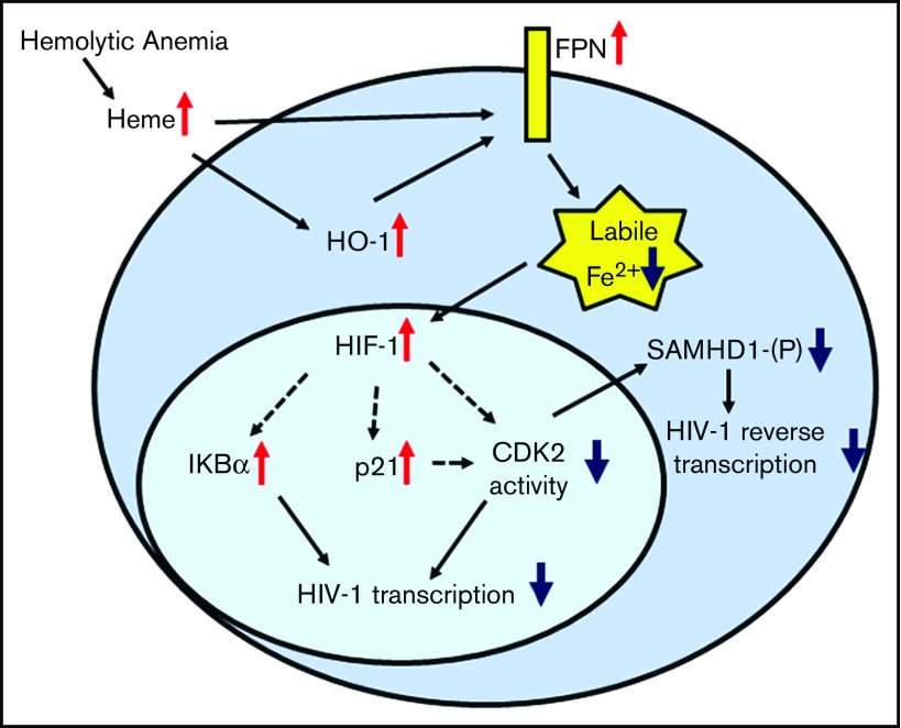 Figure 7.