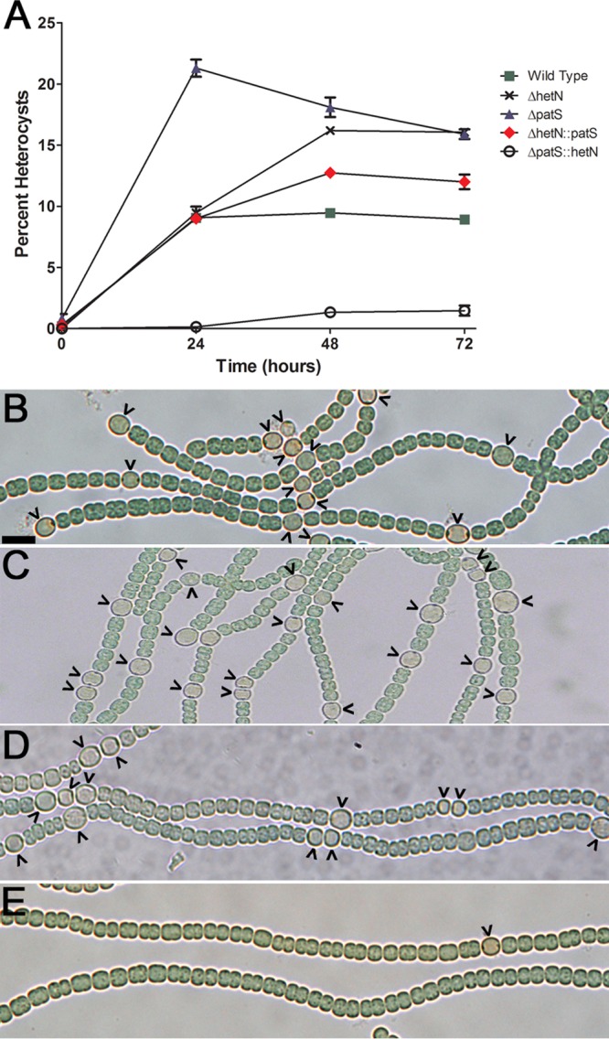 FIG 3