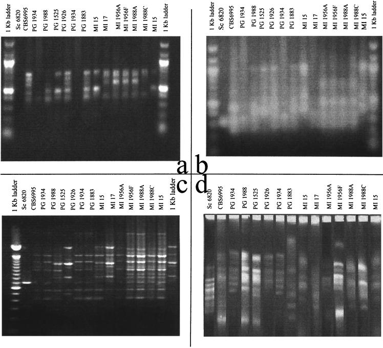 FIG. 1.