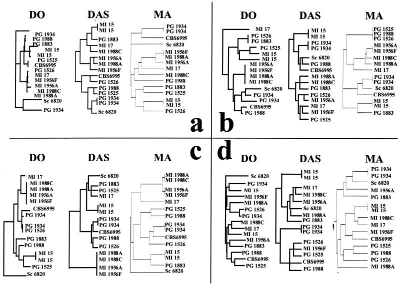 FIG. 2.