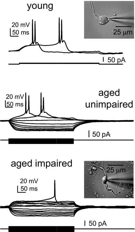 Fig. 7.