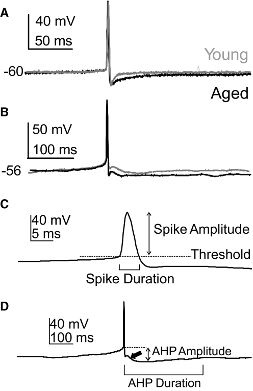 Fig. 8.