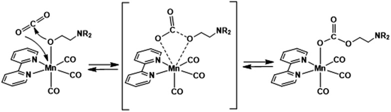 Scheme 2